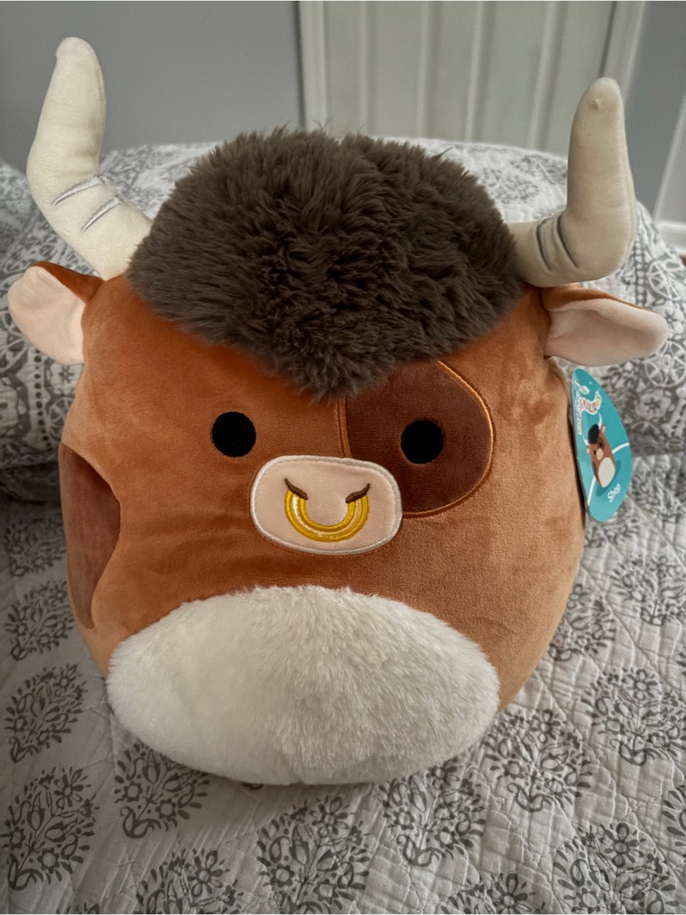 Highland Bull Squishmallow